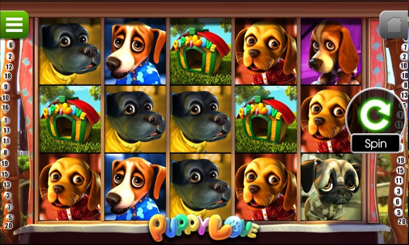 Play Puppy Love from Betsoft