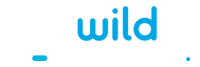 Wild Tornado Casino Logo