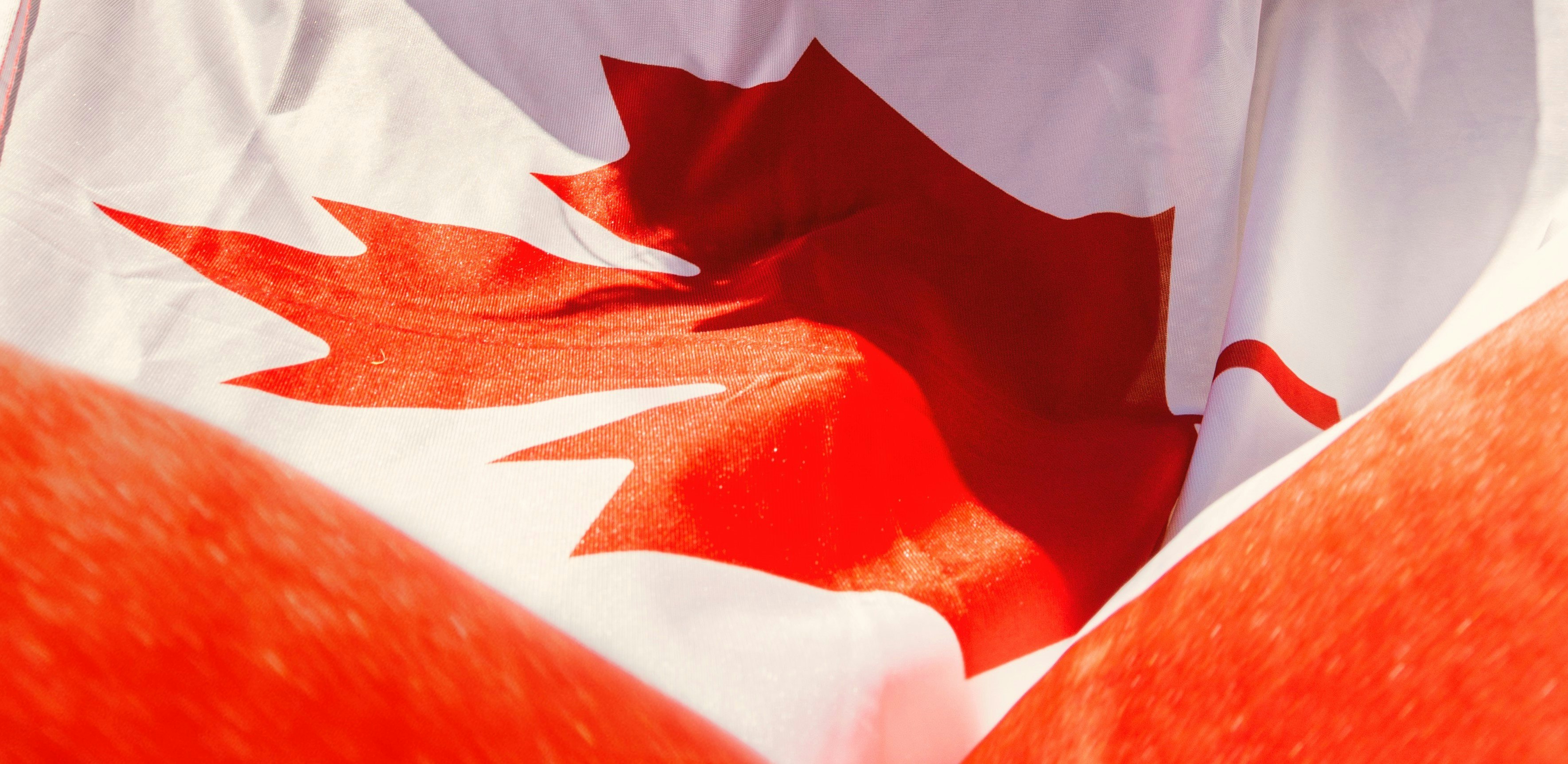 Study Calls For Reducing Regulation On Canadian Gaming