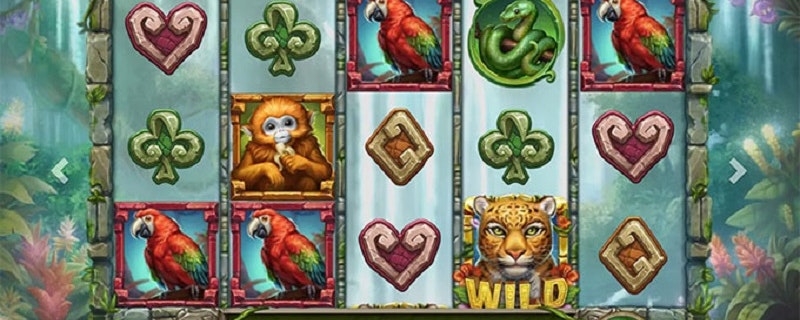Rainforest Magic Slot from Play'N GO