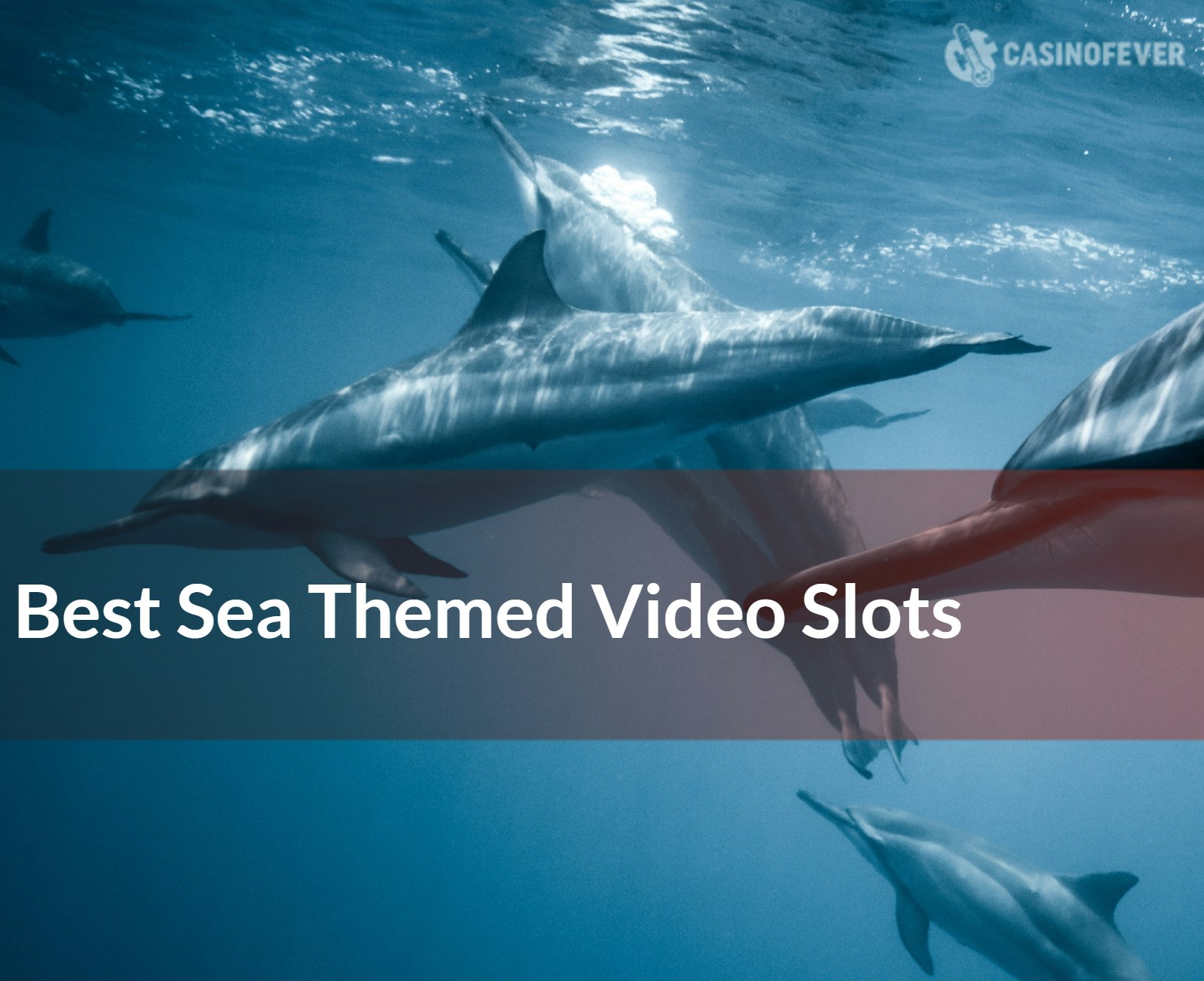 Sail to a Win with Sea Themed Slots