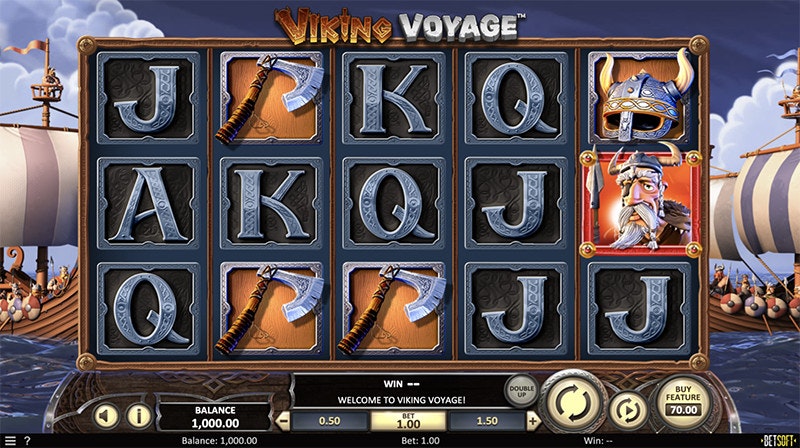 Viking Voyage