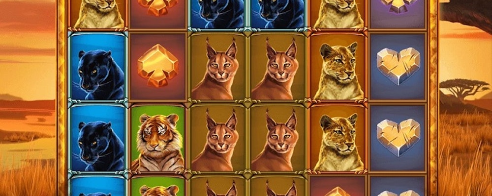Wild Cats Multiline Slot From Red Tiger It S All About Cats Here
