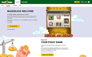 Piggy Bang Bonus