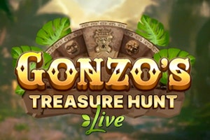 Gonzo's Treasure Hunt