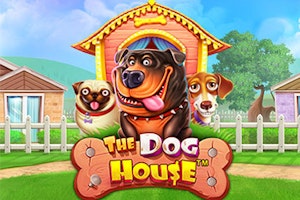 犬の家